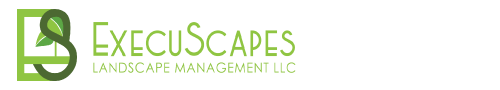 ExecuScapes Landscape Management